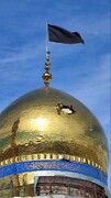 زنجانی‌لار قان ورر، انقلابا جان ورر
